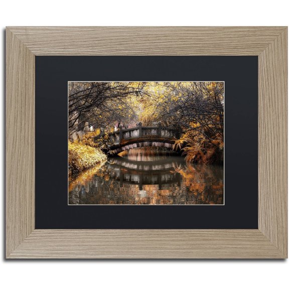 Trademark Fine Art "Dream Fall" Canvas Art by Philippe Hugonnard, Black Matte, Birch Frame