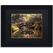 Trademark Fine Art "Dream Fall" Canvas Art by Philippe Hugonnard, Black Matte, Black Frame
