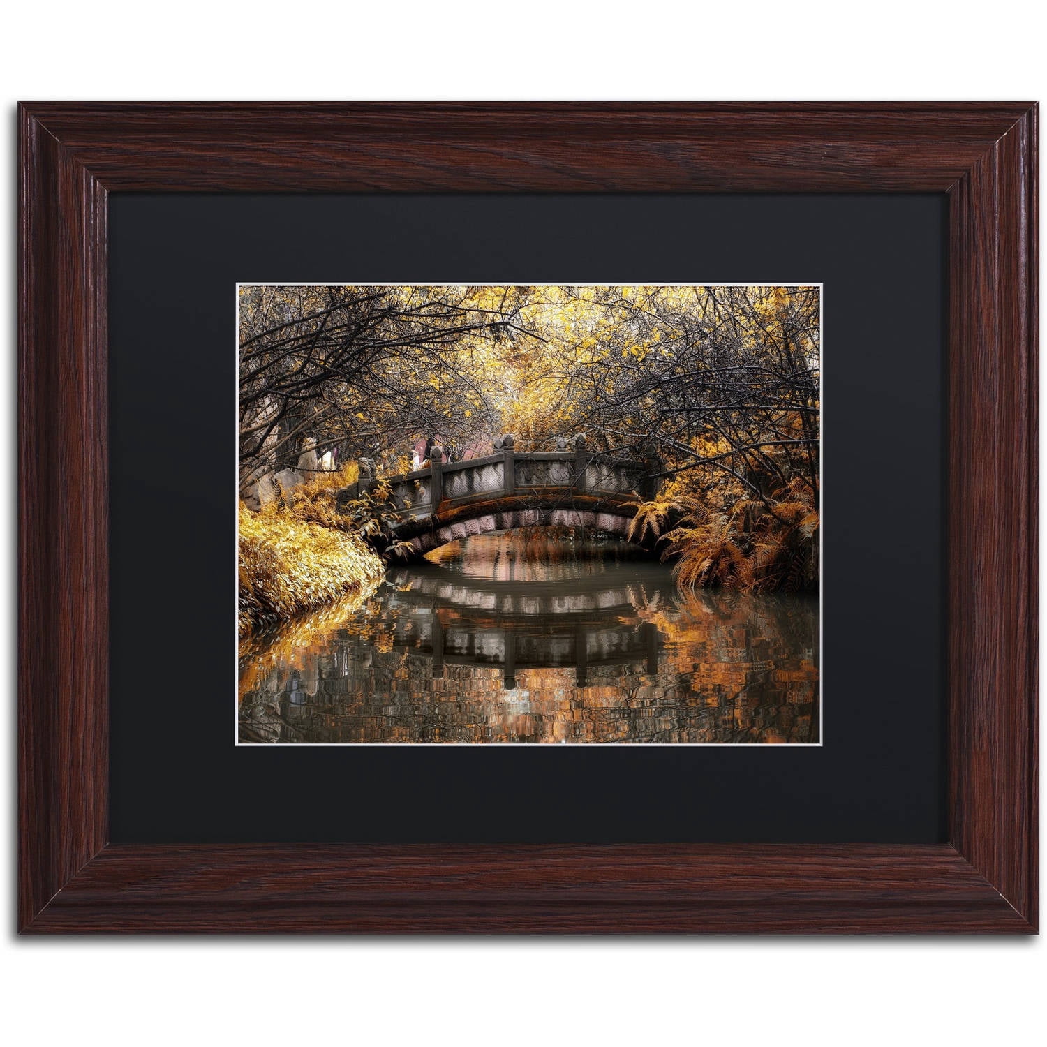 Trademark Fine Art "Dream Fall" Canvas Art by Philippe Hugonnard, Black Matte, Wood Frame