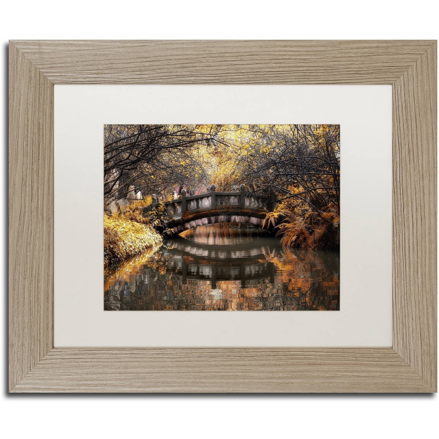 Trademark Fine Art "Dream Fall" Canvas Art by Philippe Hugonnard, White Matte, Birch Frame