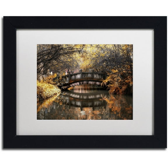 Trademark Fine Art "Dream Fall" Canvas Art by Philippe Hugonnard, White Matte, Black Frame