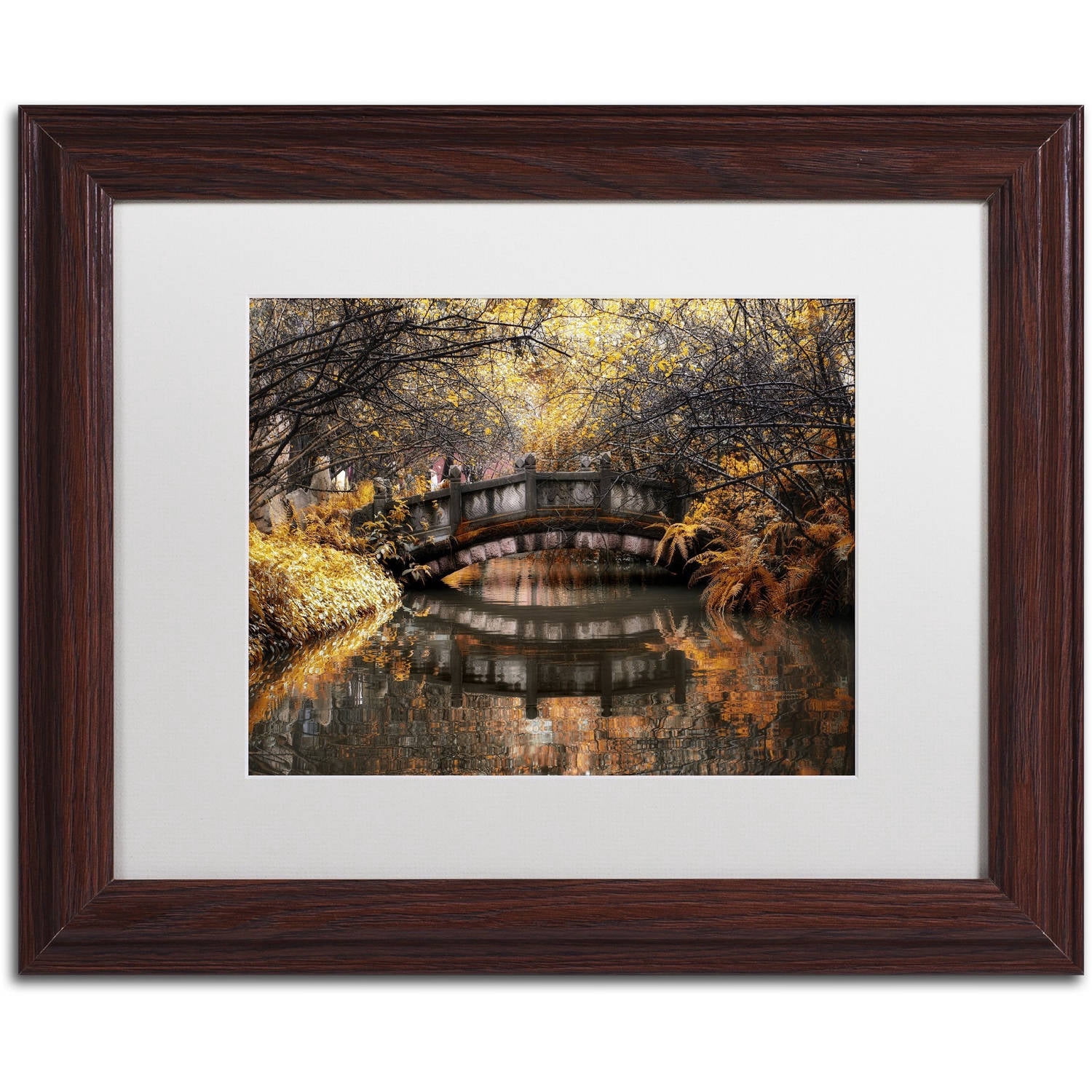 Trademark Fine Art "Dream Fall" Canvas Art by Philippe Hugonnard, White Matte, Wood Frame