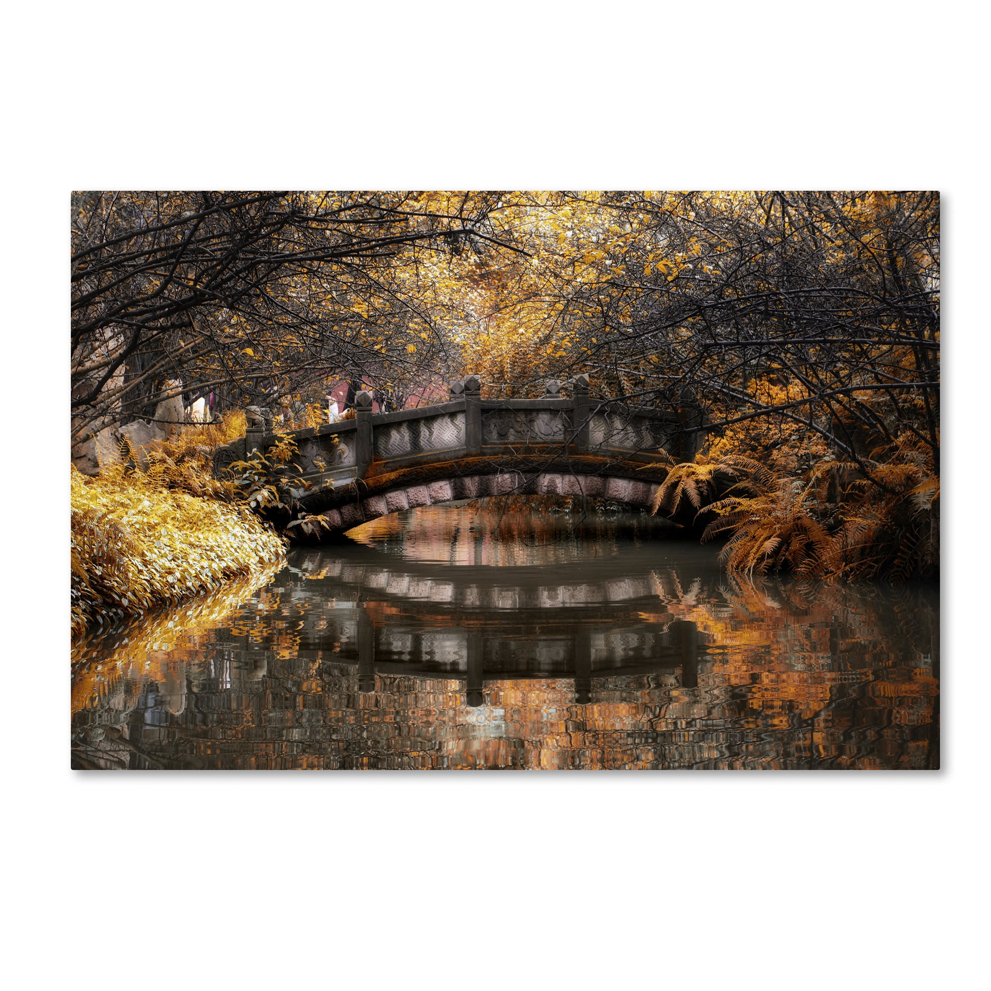 Trademark Fine Art "Dream Fall" Canvas Art by Philippe Hugonnard