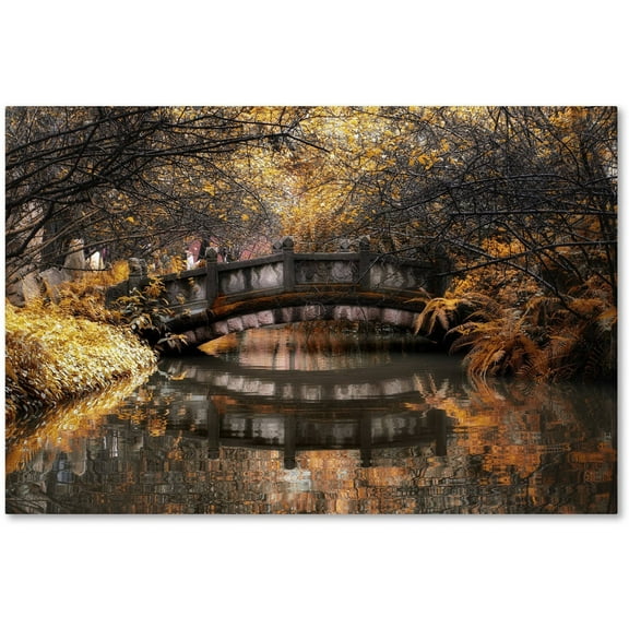 Trademark Fine Art "Dream Fall" Canvas Art by Philippe Hugonnard