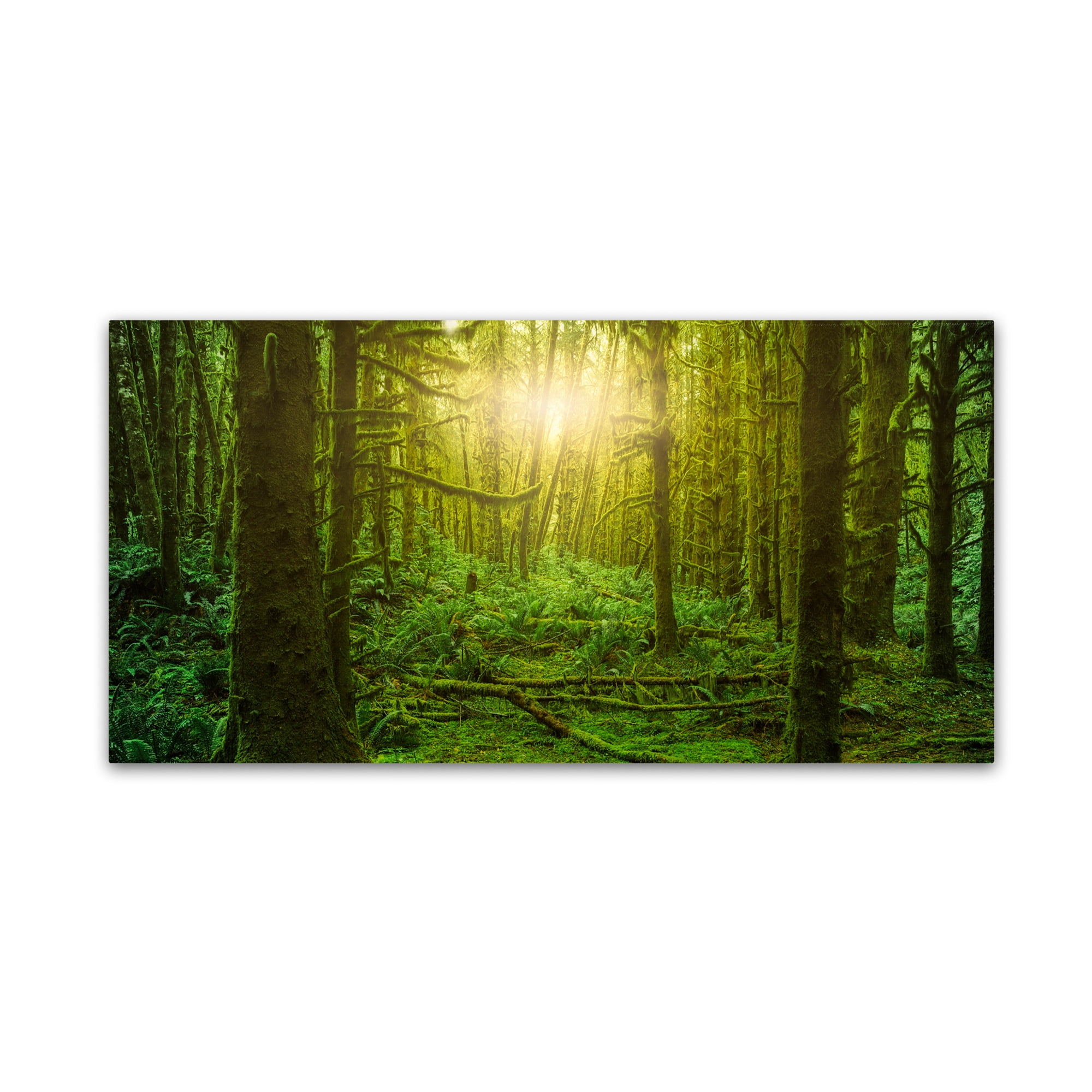 Trademark Fine Art 'Dream Forest 3' Canvas Art by Moises Levy - Walmart.com