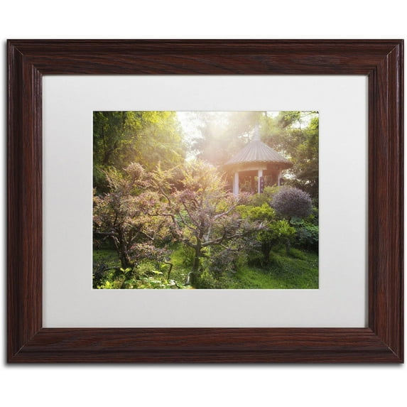 Trademark Fine Art "Dream Garden" Canvas Art by Philippe Hugonnard, White Matte, Wood Frame