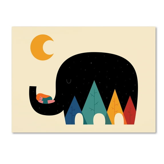 Trademark Fine Art 'Dream In The Air' Canvas Art by Andy Westface