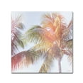 thumbnail image 1 of Trademark Fine Art 'Dream Palm III' Canvas Art by Sue Schlabach, 1 of 3