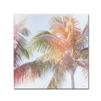Trademark Fine Art 'Dream Palm III' Canvas Art by Sue Schlabach