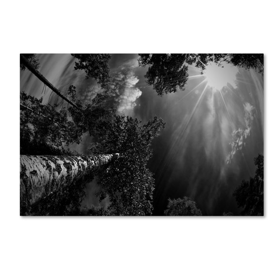 Trademark Fine Art 'Dreaming Before The Thunder' Canvas Art by Mikael Jigmo