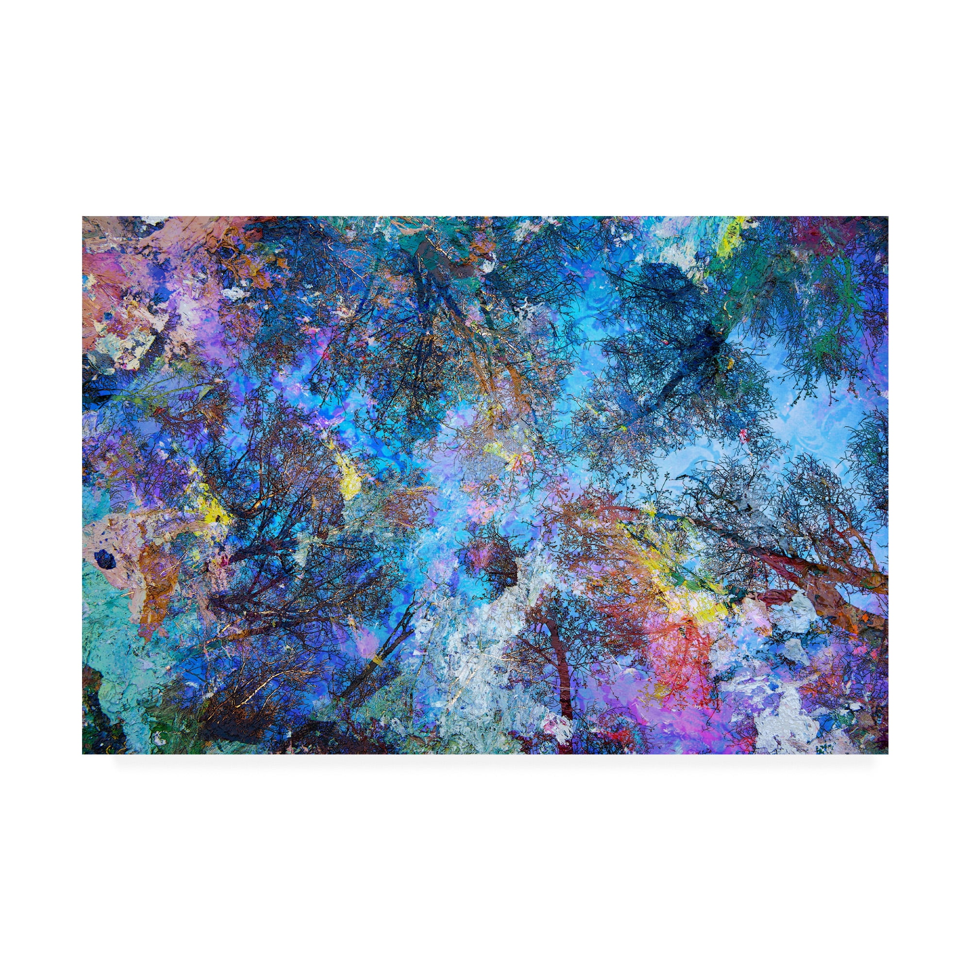 Trademark Fine Art 'Dreaming up to the Trees' Canvas Art by Michael Broo