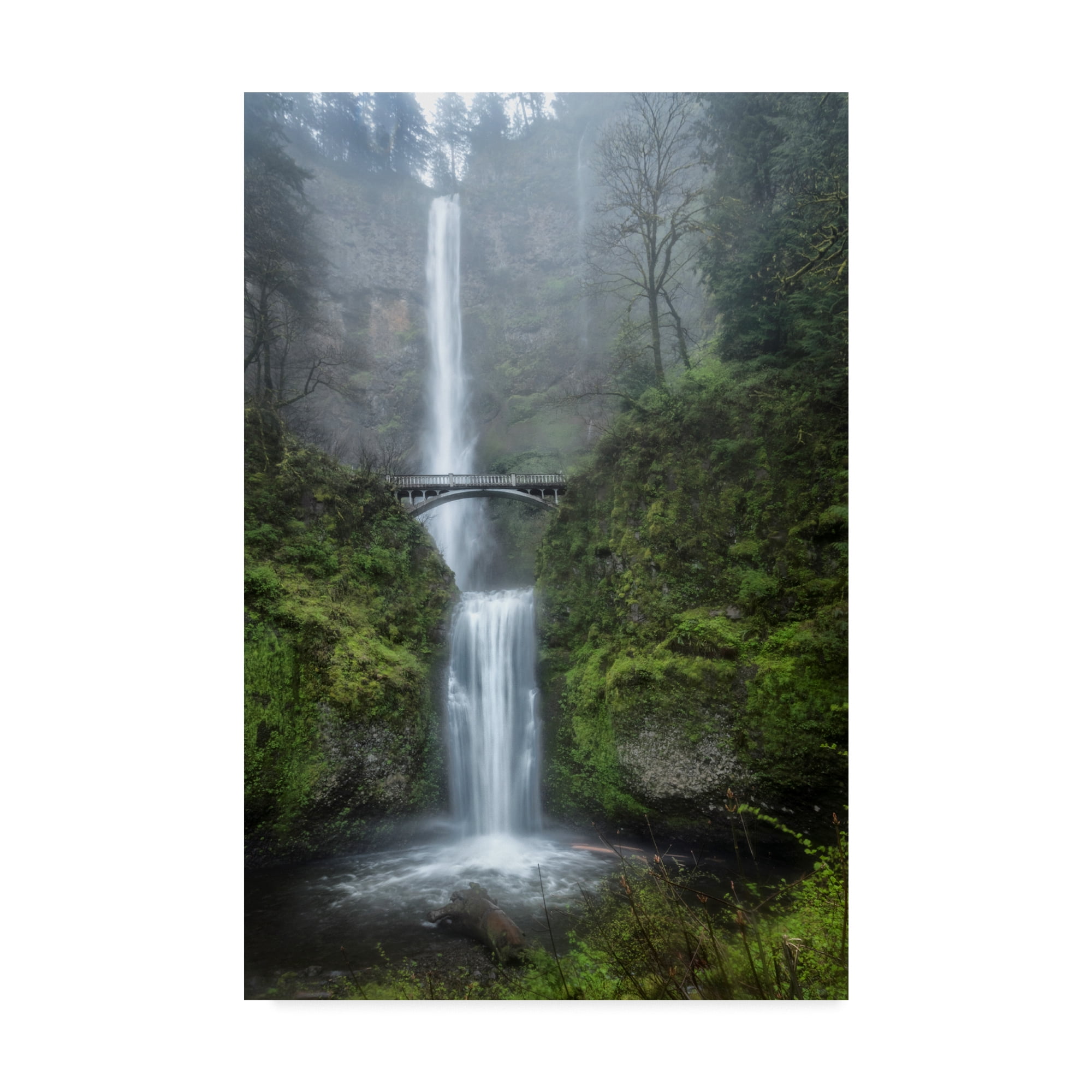 Trademark Fine Art 'Dreamland Waterfall' Canvas Art by Danny Head