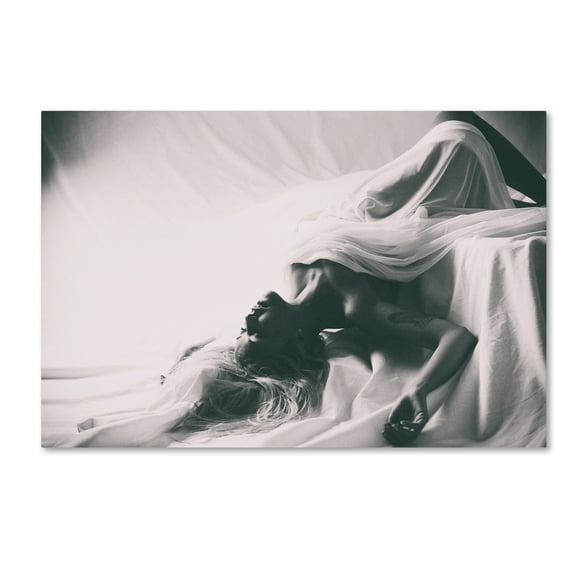 Trademark Fine Art 'Dreams' Canvas Art by Fady Abdallah