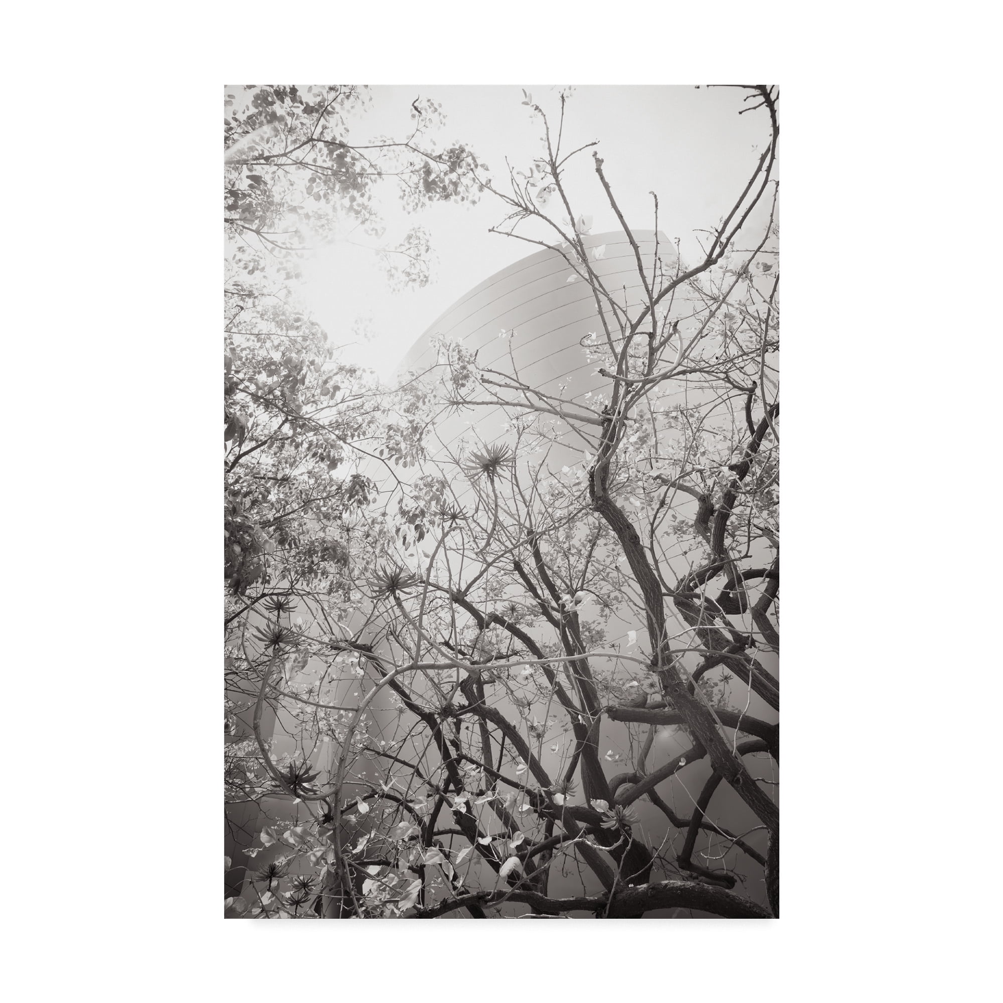 Trademark Fine Art 'Dreamy Disney Concert View' Canvas Art by Chris Moyer