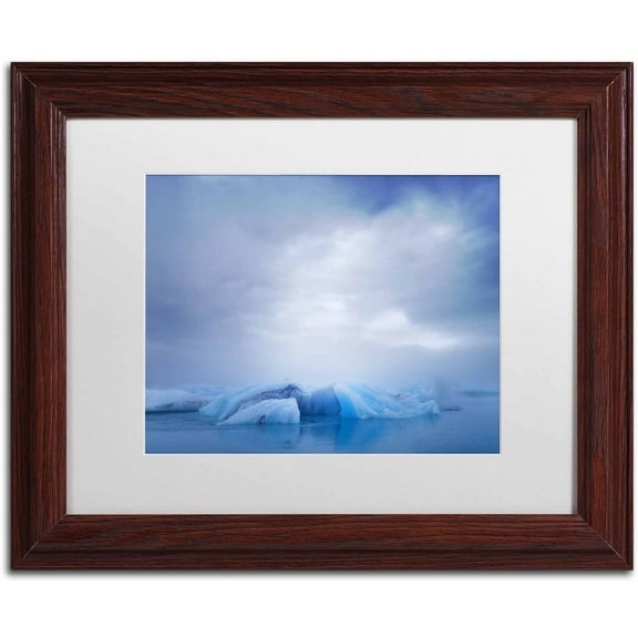 Trademark Fine Art 'Dreamy Moment' Canvas Art by Philippe Sainte-Laudy, White Matte, Wood Frame