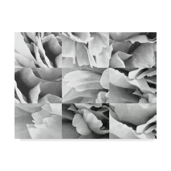 Trademark Fine Art 'Dreamy Peony Collage' Canvas Art by Wild Apple Portfolio