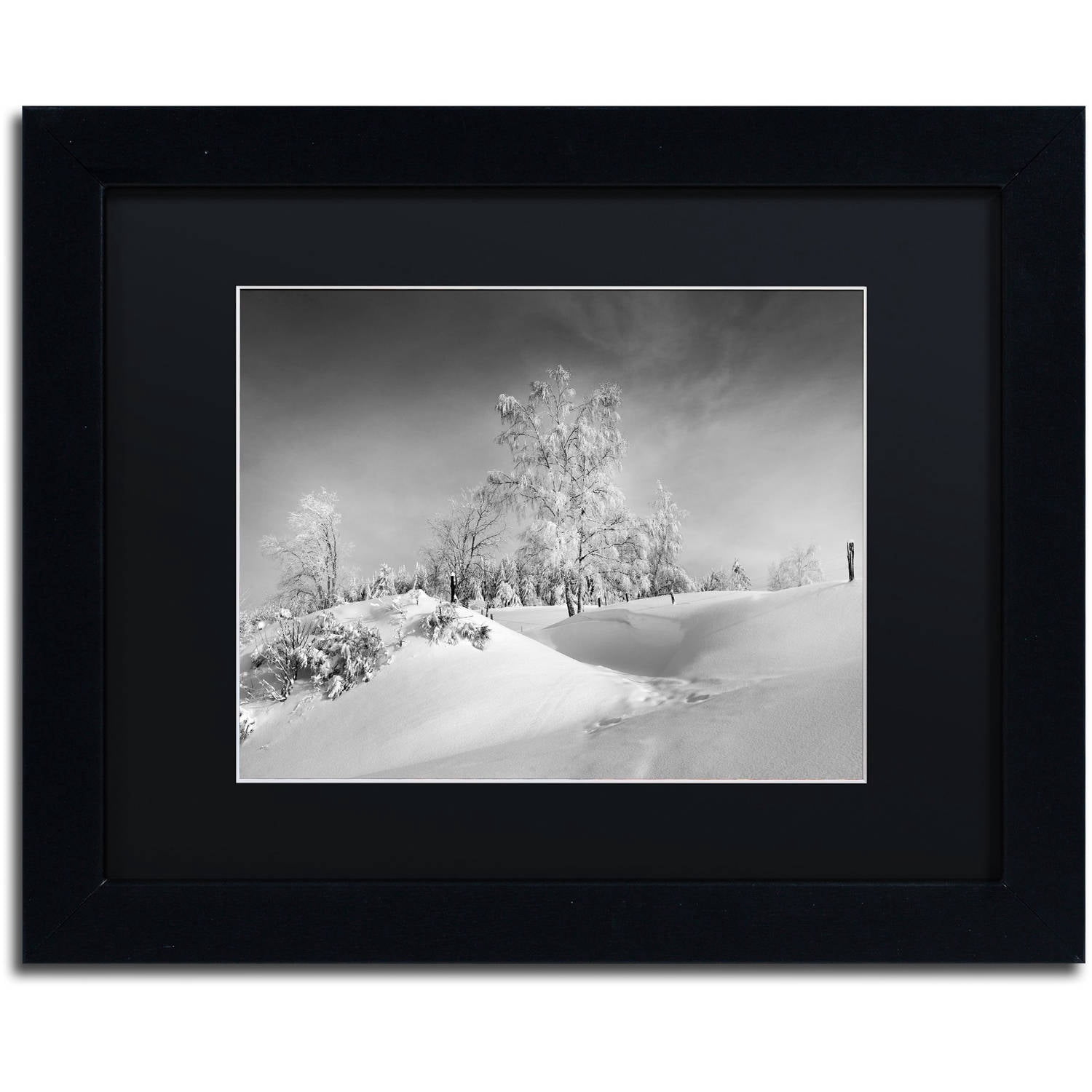 Trademark Fine Art "Dressed For Winter B&W" Canvas Art by Philippe Sainte-Laudy, Black Matte, Black Frame