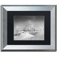 thumbnail image 1 of Trademark Fine Art "Dressed For Winter B&W" Canvas Art by Philippe Sainte-Laudy, Black Matte, Silver Frame, 1 of 1