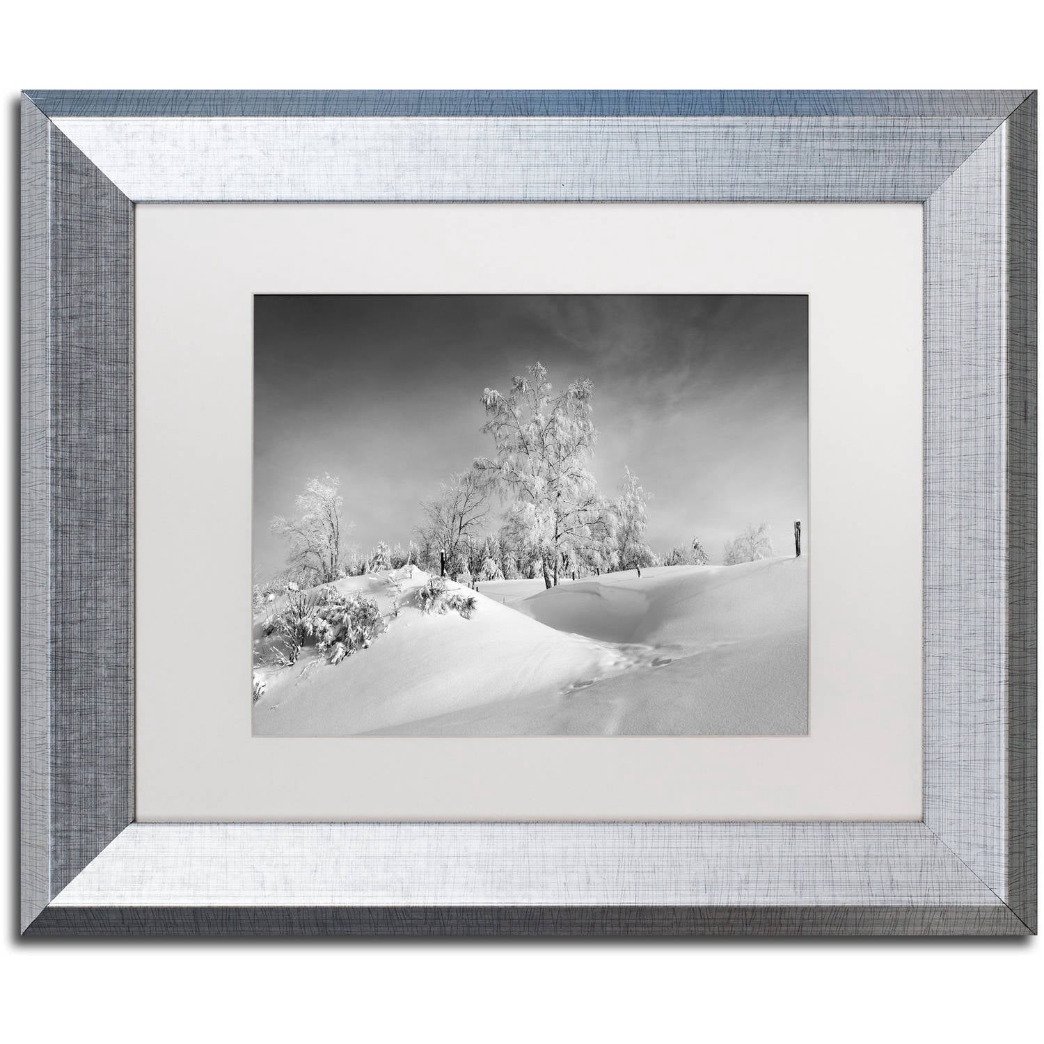 Trademark Fine Art "Dressed For Winter B&W" Canvas Art by Philippe Sainte-Laudy, White Matte, Silver Frame
