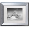 thumbnail image 1 of Trademark Fine Art "Dressed For Winter B&W" Canvas Art by Philippe Sainte-Laudy, White Matte, Silver Frame, 1 of 4