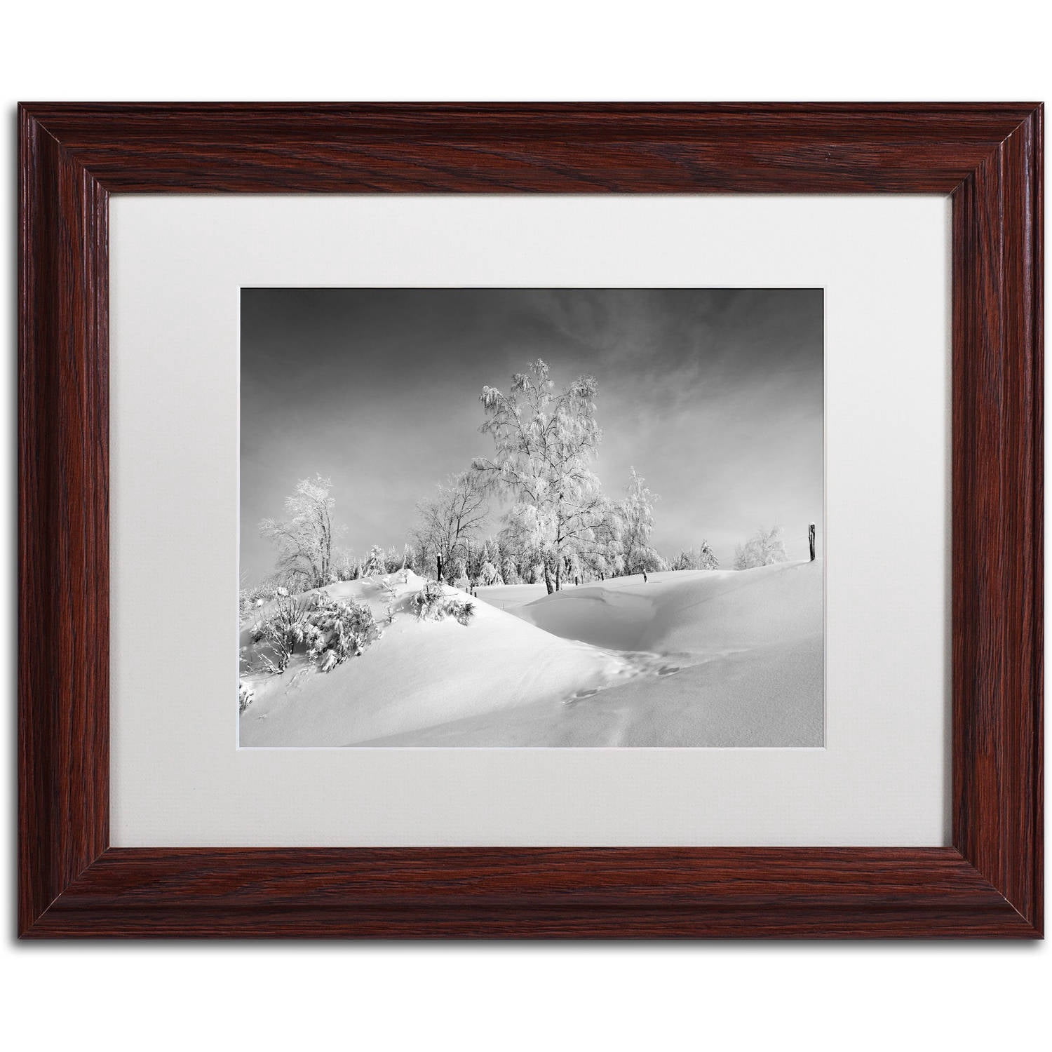 Trademark Fine Art "Dressed For Winter B&W" Canvas Art by Philippe Sainte-Laudy, White Matte, Wood Frame