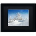 thumbnail image 1 of Trademark Fine Art "Dressed For Winter" Canvas Art by Philippe Sainte-Laudy, Black Matte, Black Frame, 1 of 1