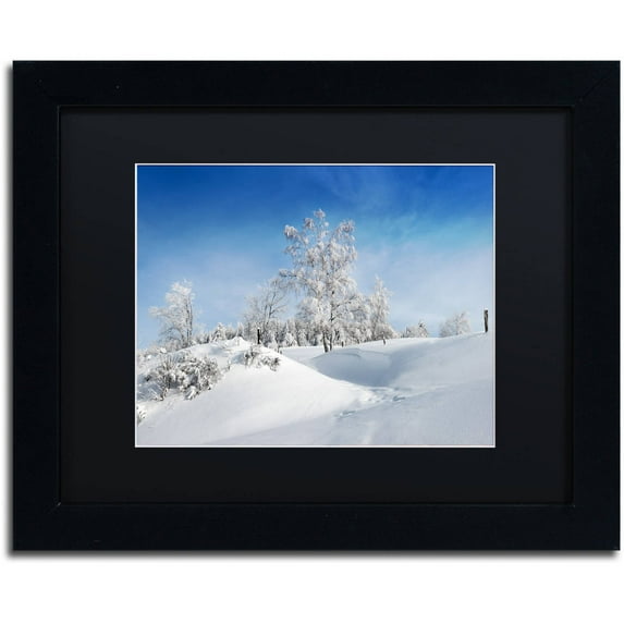Trademark Fine Art "Dressed For Winter" Canvas Art by Philippe Sainte-Laudy, Black Matte, Black Frame