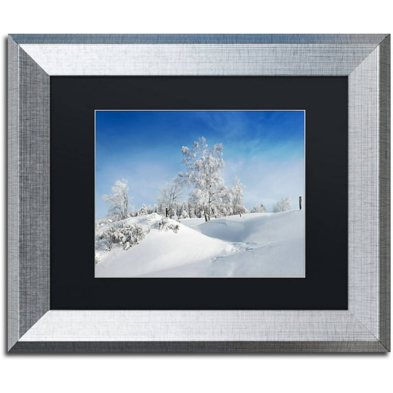 Trademark Fine Art "Dressed For Winter" Canvas Art by Philippe Sainte-Laudy, Black Matte, Silver Frame