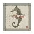 thumbnail image 1 of Trademark Fine Art 'Drift Away Seahorse' Canvas Art by Sue Schlabach, 1 of 3