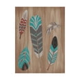 thumbnail image 1 of Trademark Fine Art 'Driftwood Feathers I' Canvas Art by June Erica Vess, 1 of 4