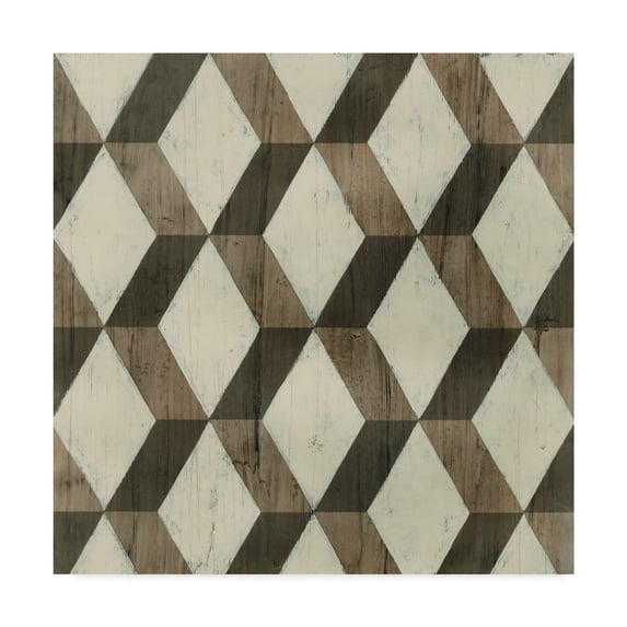 Trademark Fine Art 'Driftwood Geometry I' Canvas Art by June Erica Vess