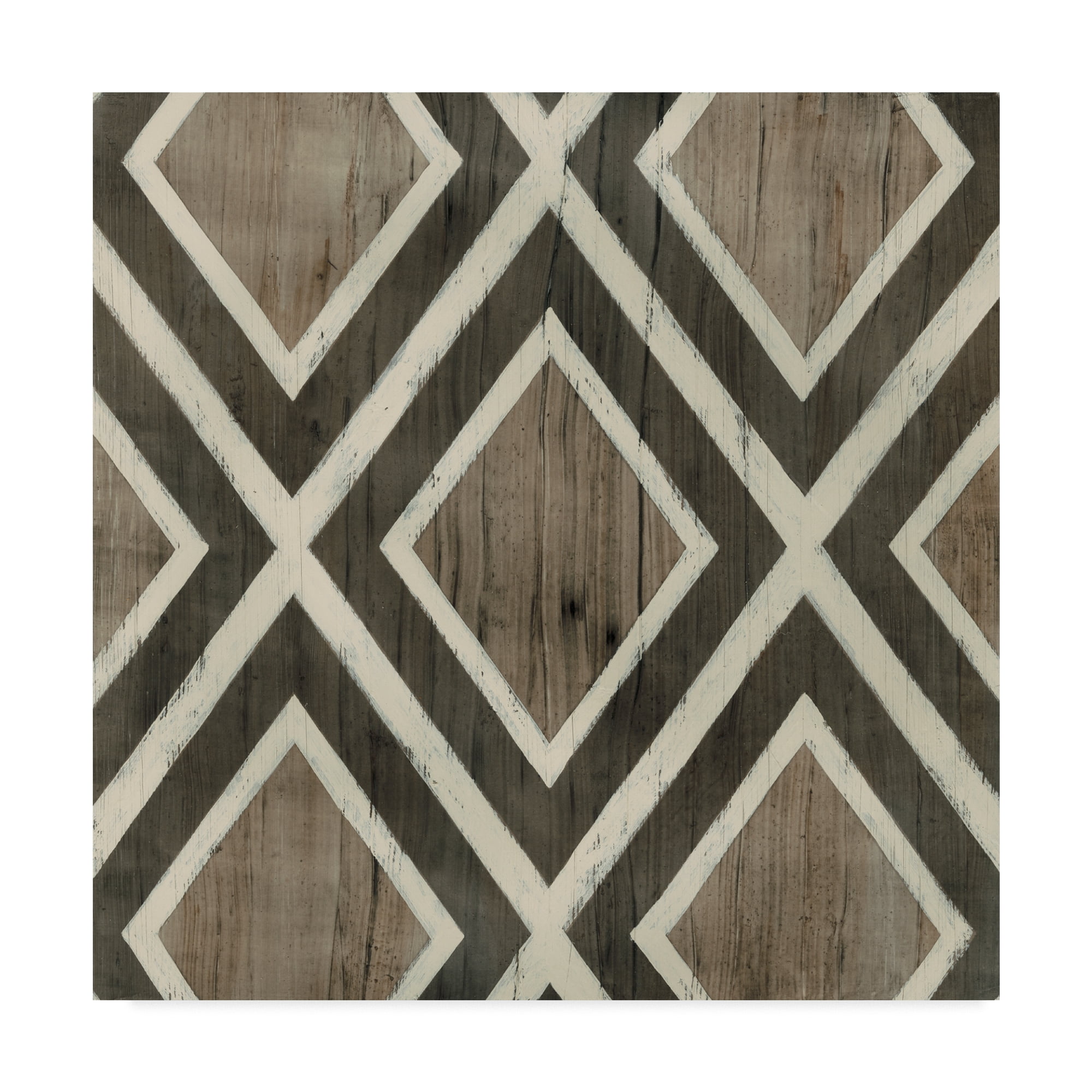 Trademark Fine Art 'Driftwood Geometry II' Canvas Art by June Erica Vess