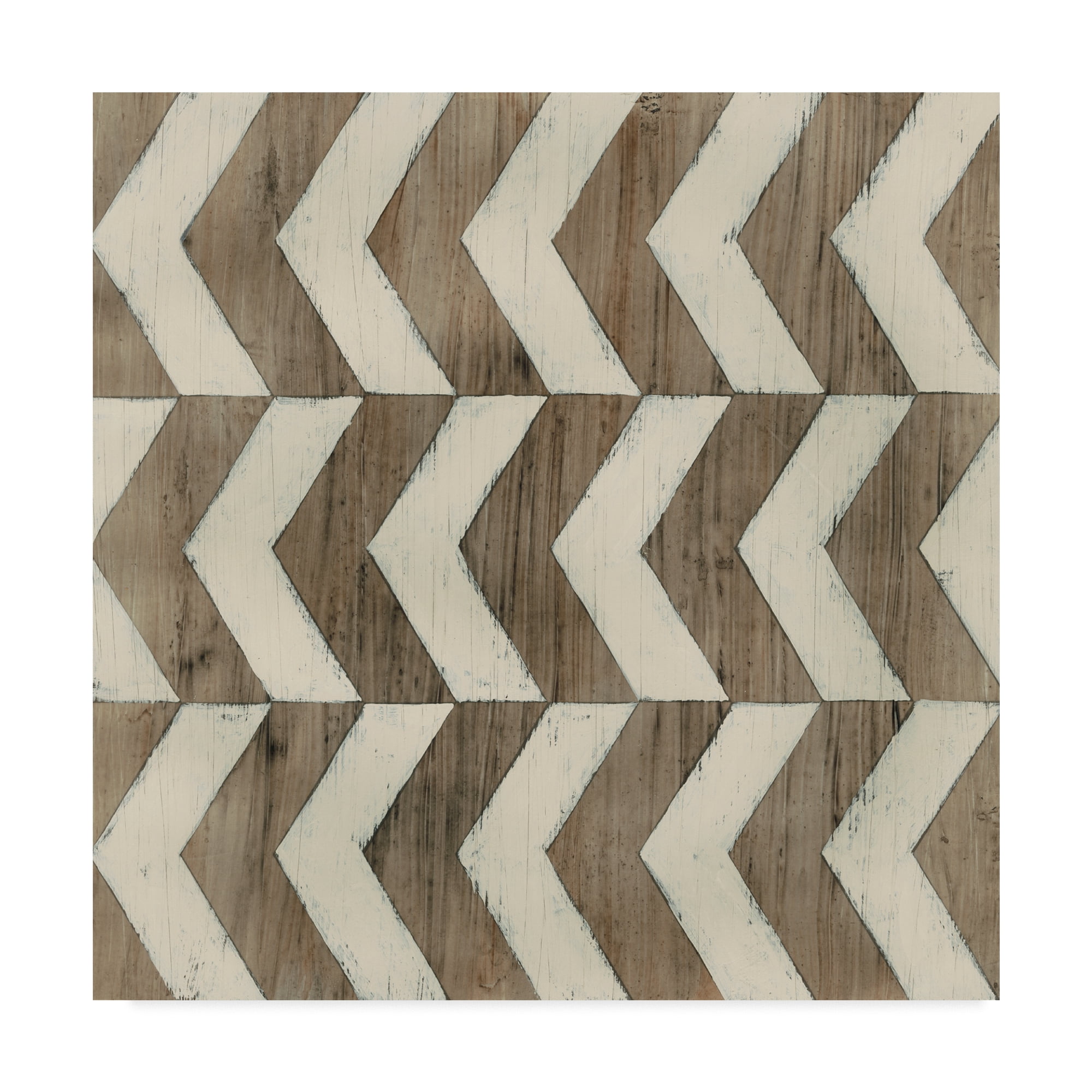 Trademark Fine Art 'Driftwood Geometry III' Canvas Art by June Erica Vess