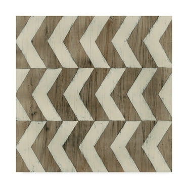 Trademark Fine Art 'Driftwood Geometry III' Canvas Art by June Erica Vess
