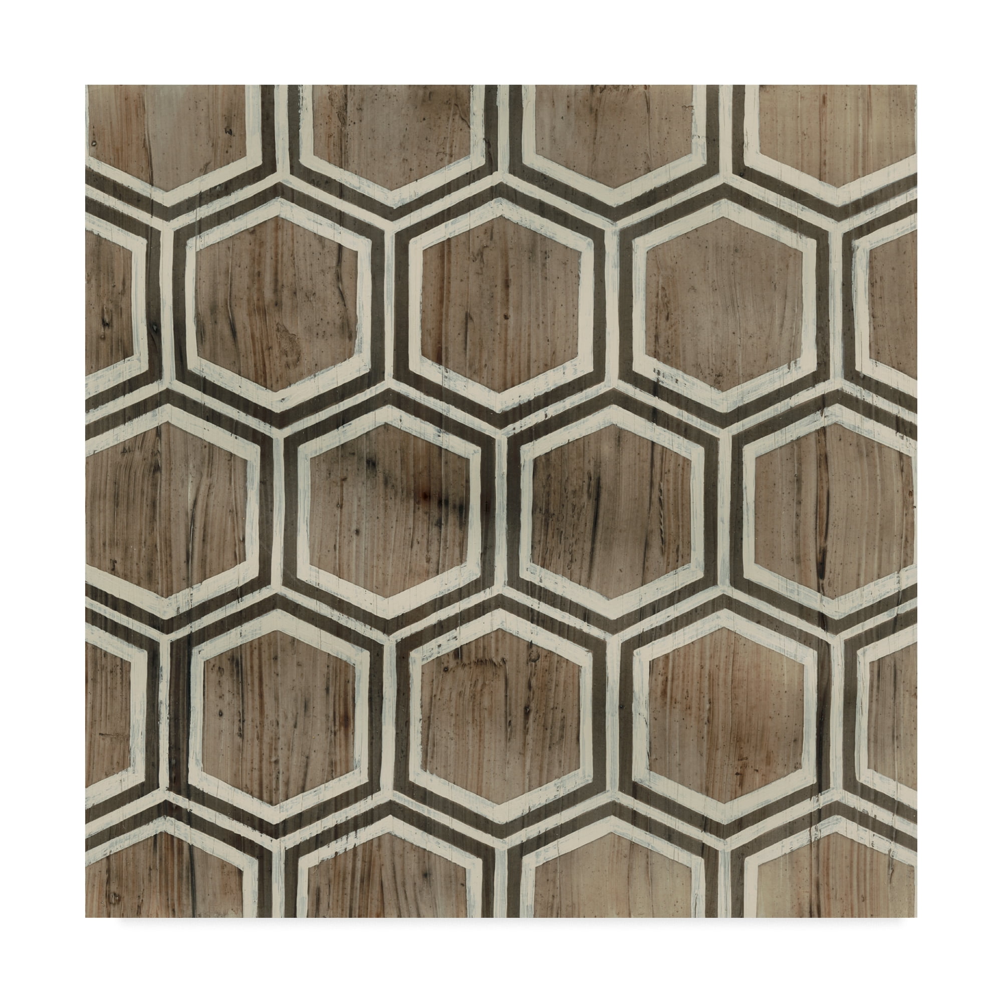 Trademark Fine Art 'Driftwood Geometry IV' Canvas Art by June Erica Vess
