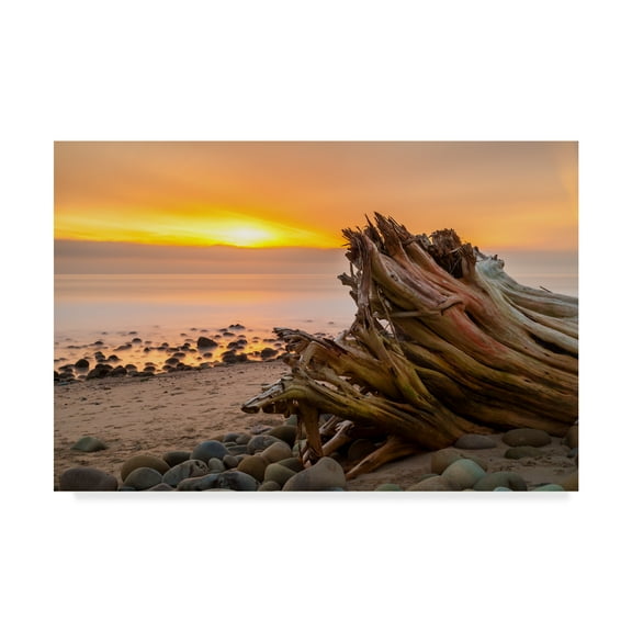 Trademark Fine Art 'Driftwood Sunset' Canvas Art by Chris Moyer