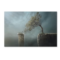 Trademark Fine Art 'Drink Water' Canvas Art by Sulaiman Almawash