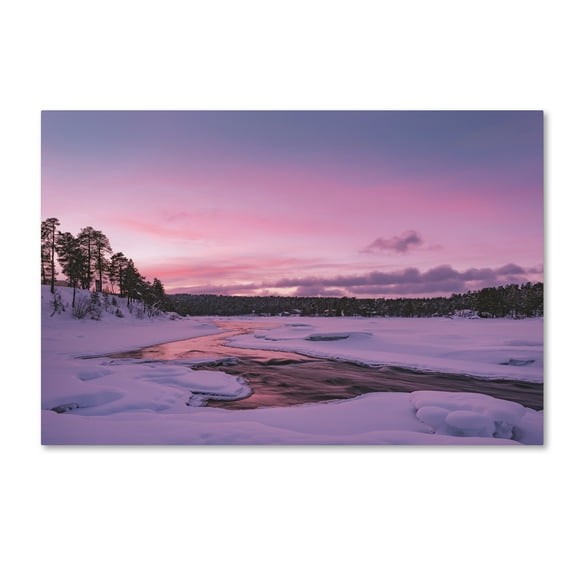 Trademark Fine Art 'Drowning in Colors' Canvas Art by Philippe Sainte-Laudy