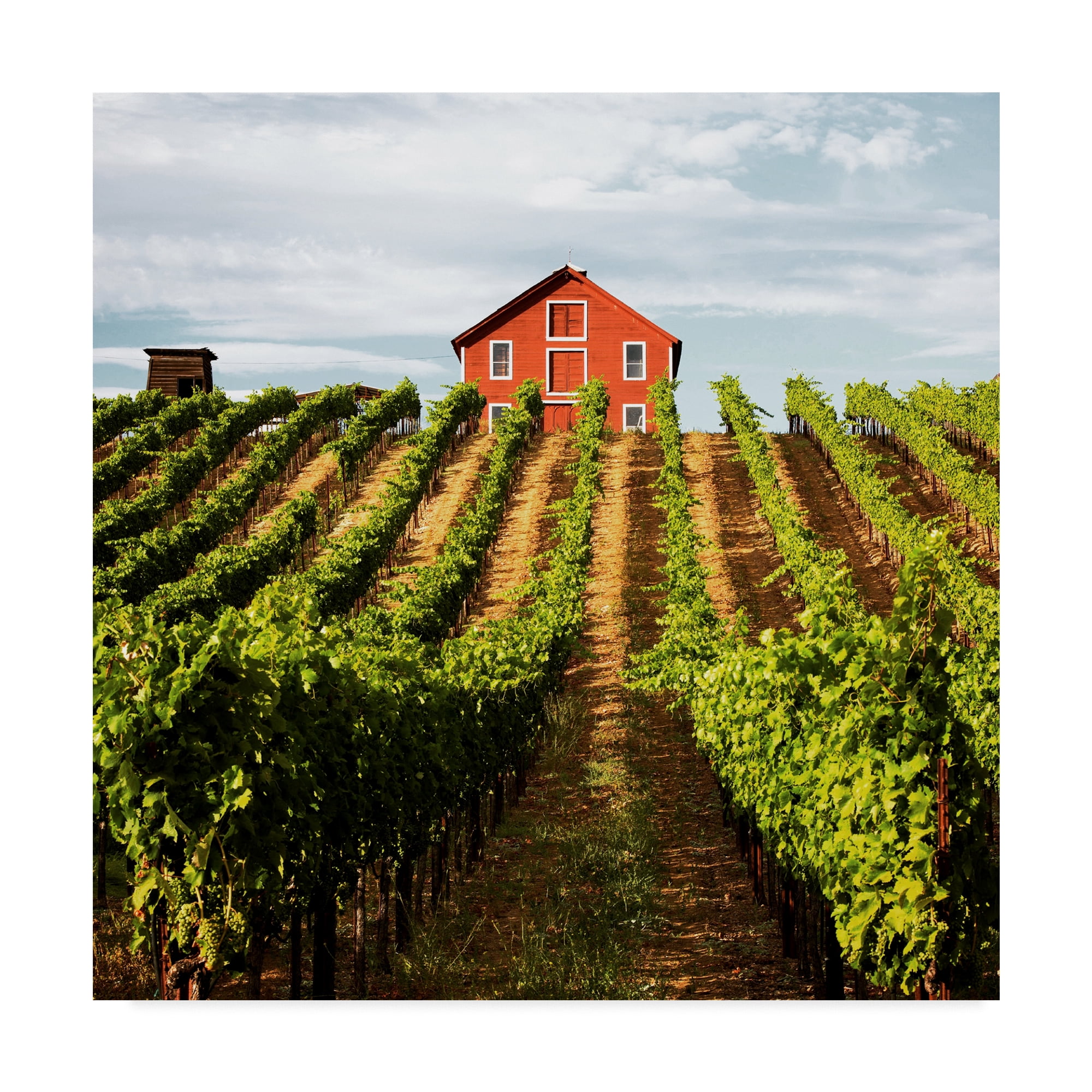 Trademark Fine Art 'Dry Creek Barn' Canvas Art by Lance Kuehne