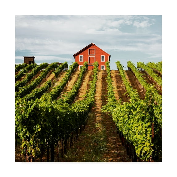 Trademark Fine Art 'Dry Creek Barn' Canvas Art by Lance Kuehne