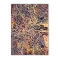 thumbnail image 1 of Trademark Fine Art 'Dublin Ireland City Map II' Canvas Art by Michael Tompsett, 1 of 3