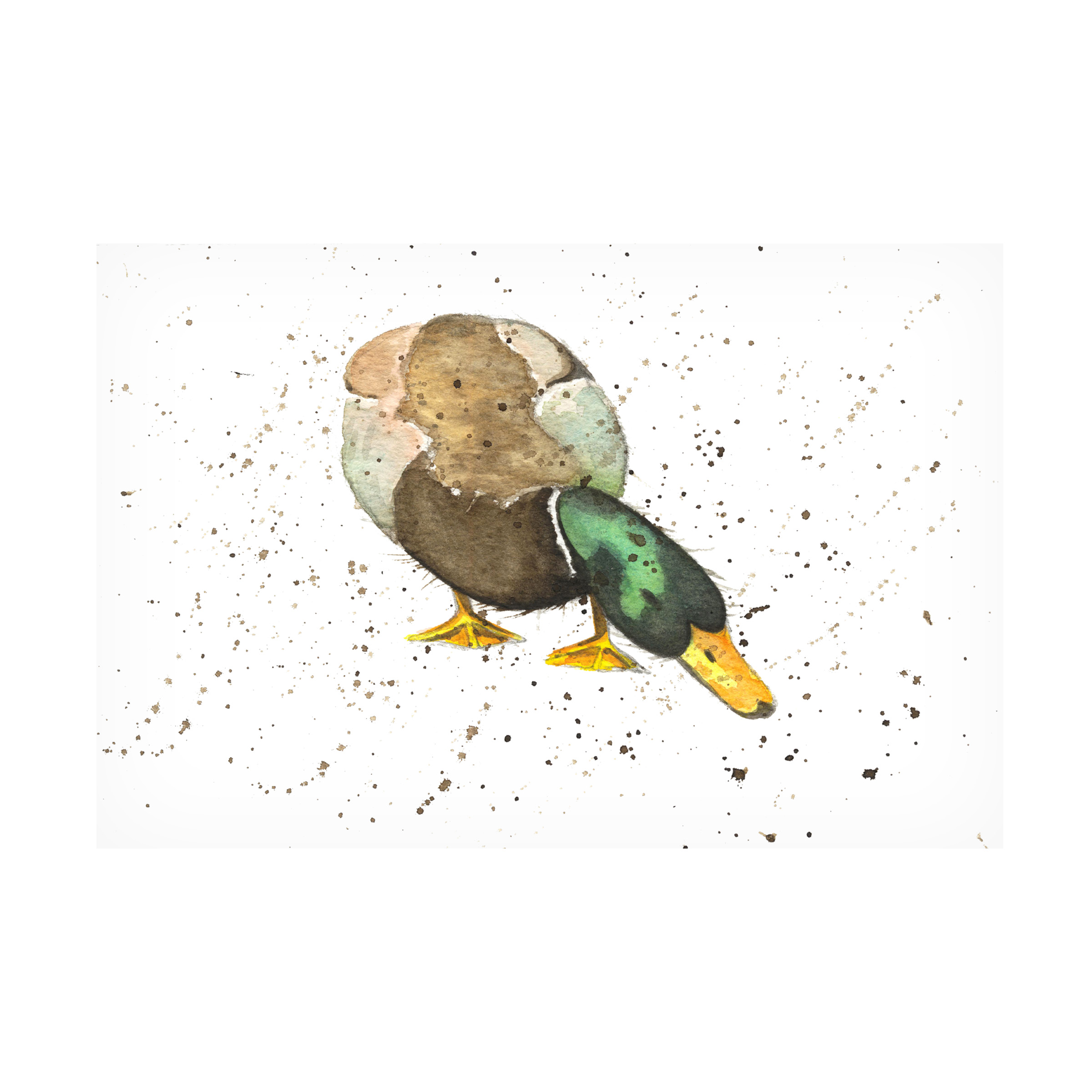 Trademark Fine Art 'Duck 4' Canvas Art by Michelle Campbell