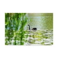 thumbnail image 1 of Trademark Fine Art 'Duck' Canvas Art by Incredi, 1 of 2