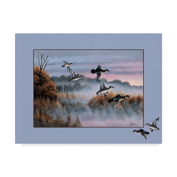 Trademark Fine Art 'Ducks In Flight' Canvas Art by Wilhelm Goebel