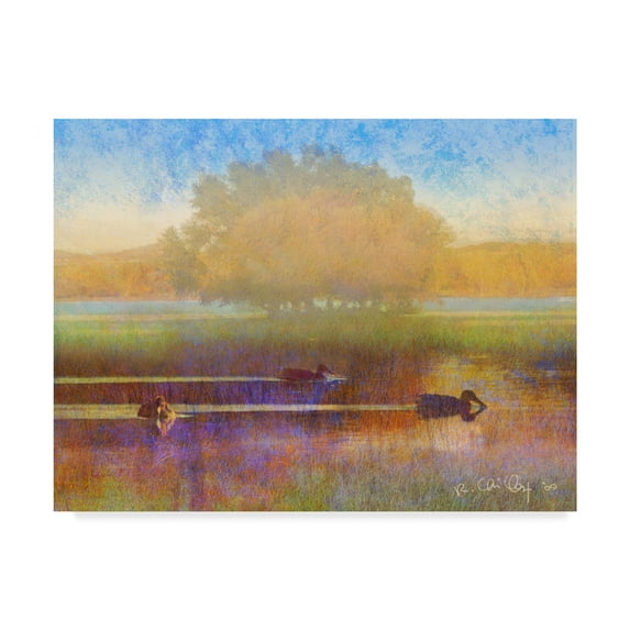 Trademark Fine Art 'Ducks in Soft Mist' Canvas Art by Chris Vest
