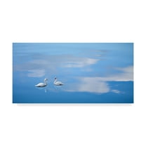 Trademark Fine Art 'Dusk & Water VI' Canvas Art by James McLoughlin