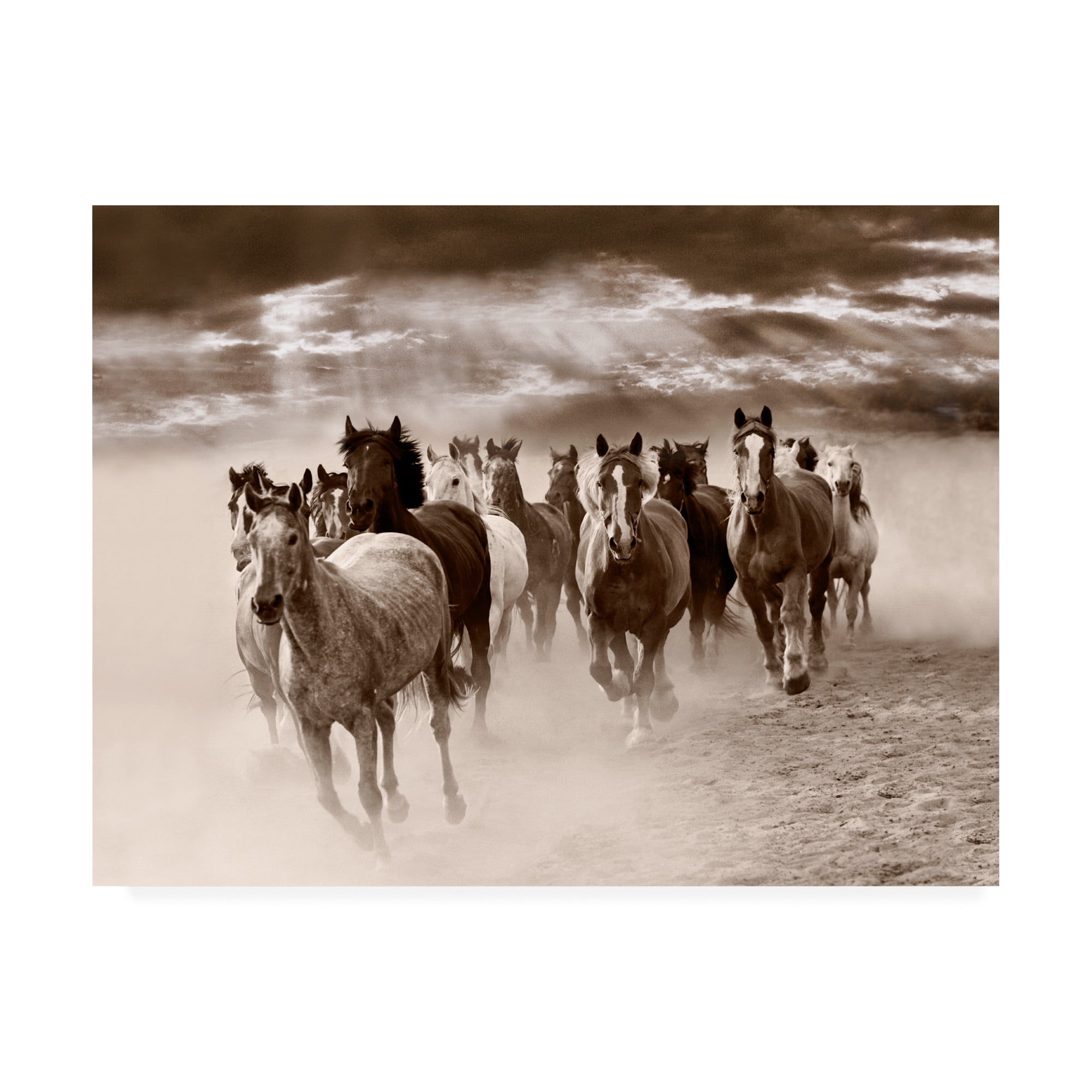 Trademark Fine Art 'Dust And Thunder Rothbury Michigan' Canvas Art by Monte Nagler