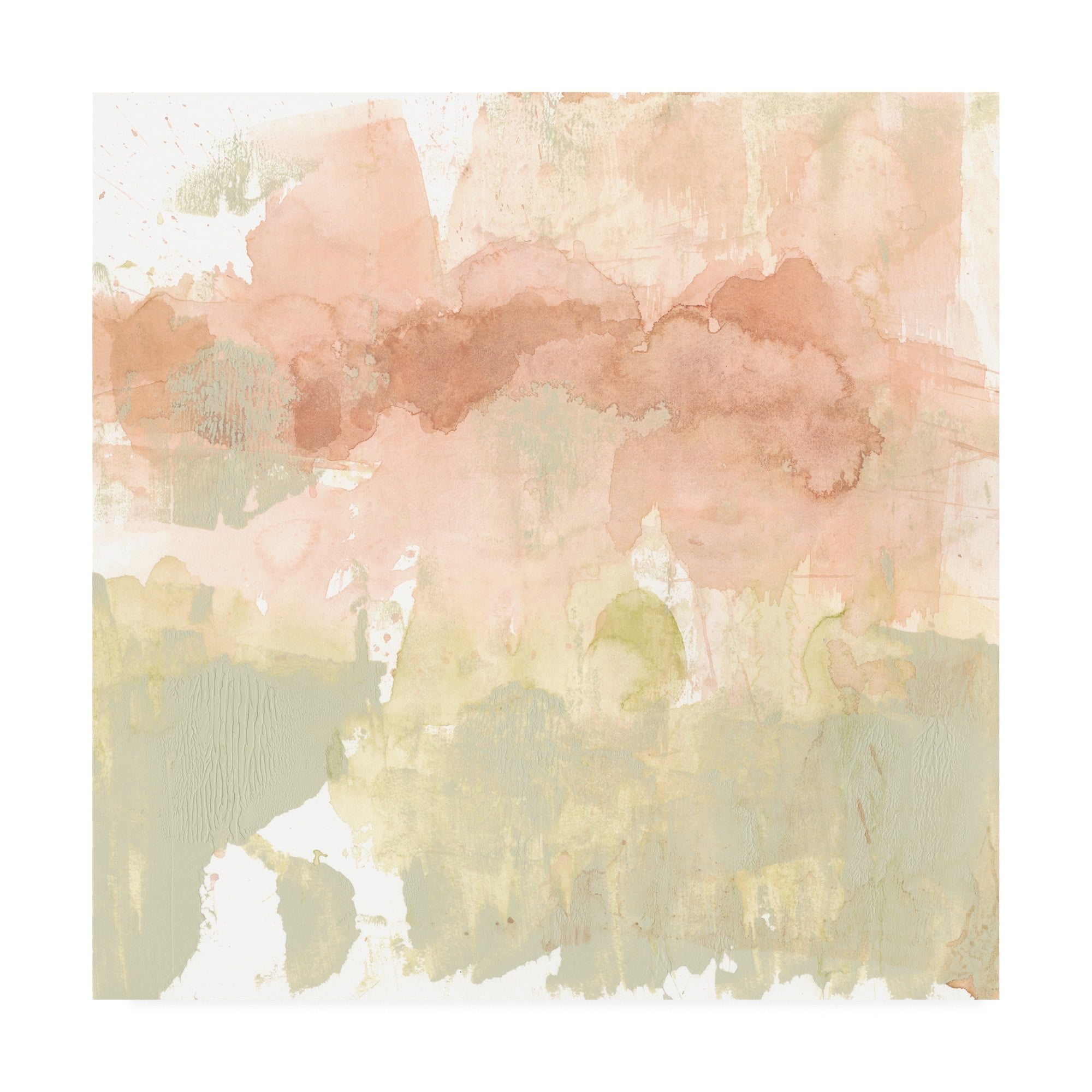 Trademark Fine Art 'Dusty Blush And Olive I' Canvas Art by Jennifer Goldberger