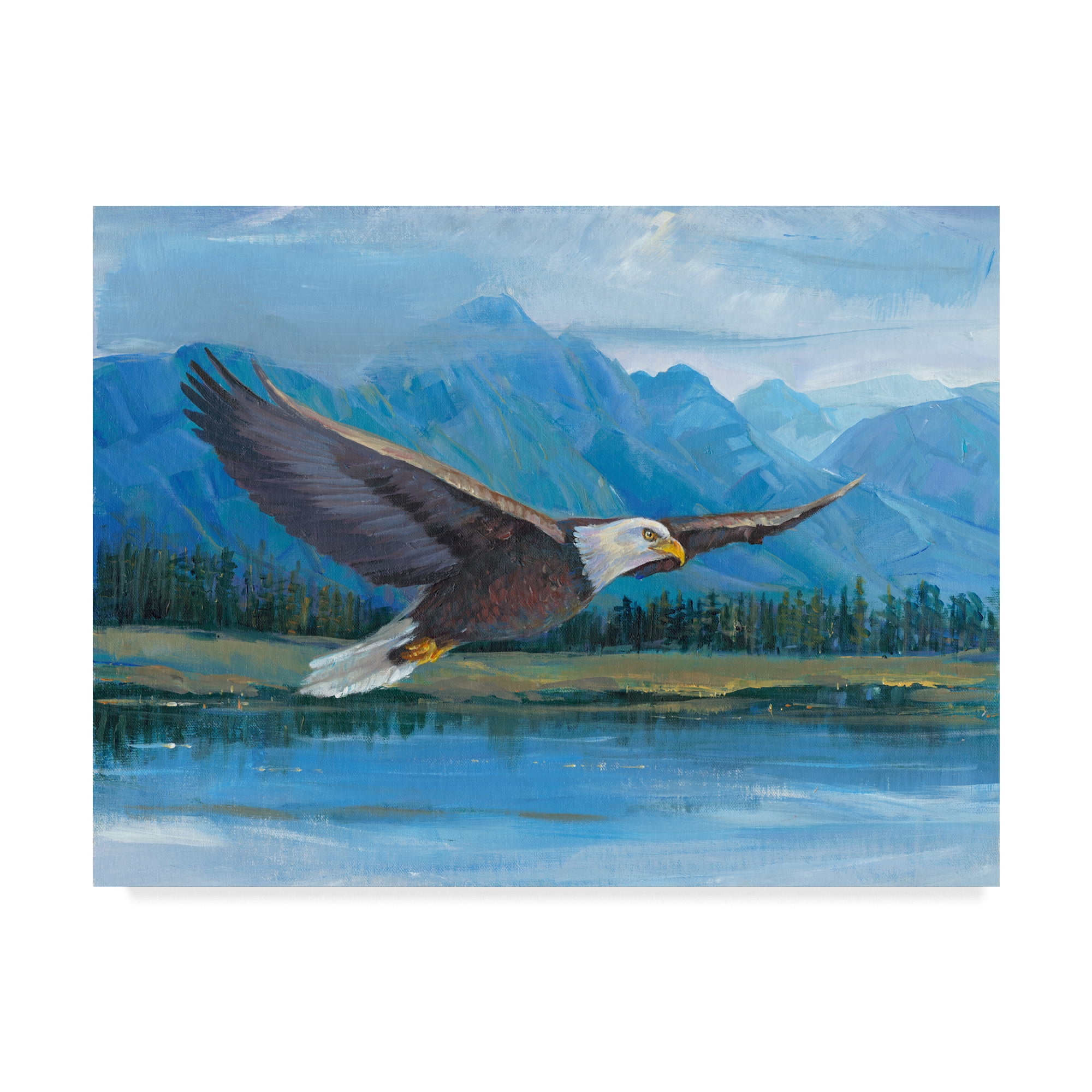 Eagle Soaring Over Mountain Landscape Canvas Art 24x32