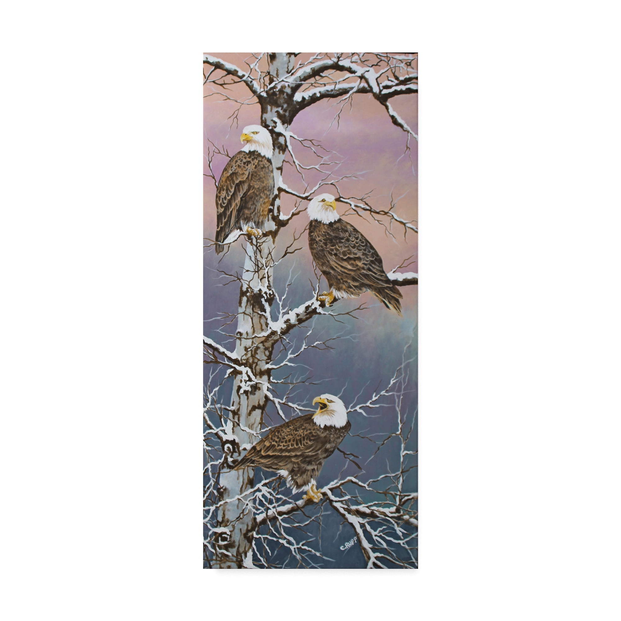 Trademark Fine Art 'Eagle Trio at Dawn' Canvas Art by Carol J Rupp